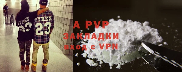 apvp Алзамай