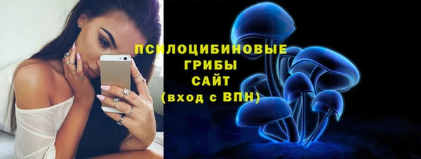 spice Алексеевка