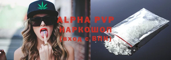 apvp Алзамай