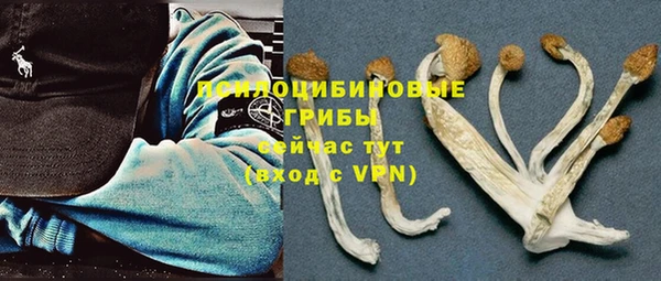 тгк Алексин