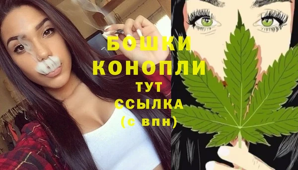 spice Алексеевка