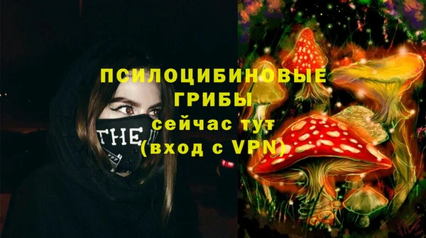 тгк Алексин