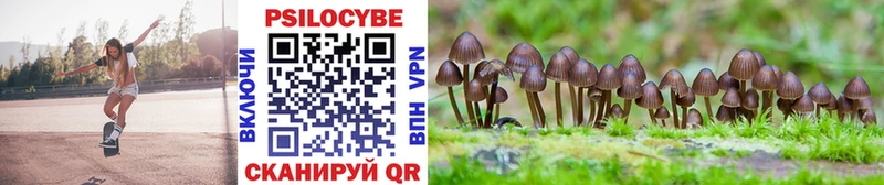 Псилоцибиновые грибы MAGIC MUSHROOMS Полтавская
